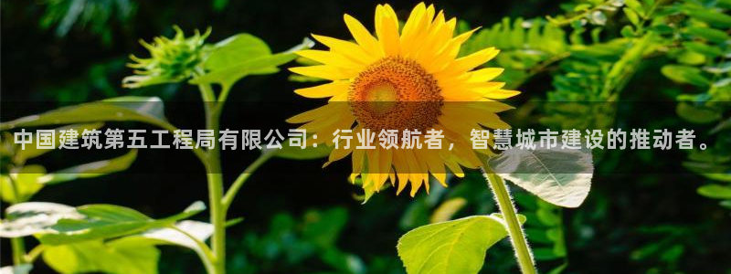 顺盈娱乐在线开户怎么样