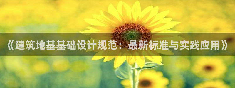 顺盈娱乐铜333OO
