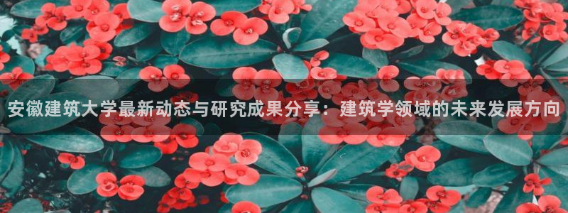 清远顺盈娱乐怎么样啊：安徽建筑大学最新动态与研究成果分享：建筑学领域的未来发展方向