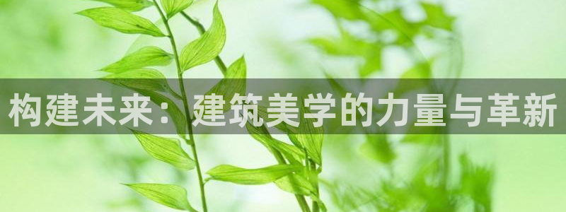 顺盈娱乐招商前原判官333OO：构建未来：建筑美学的力量与革新