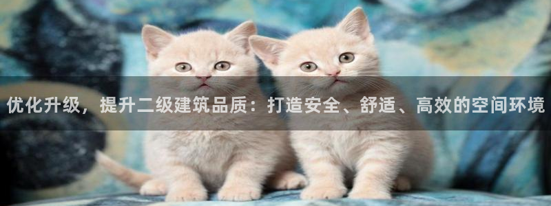 顺盈2娱乐彩票