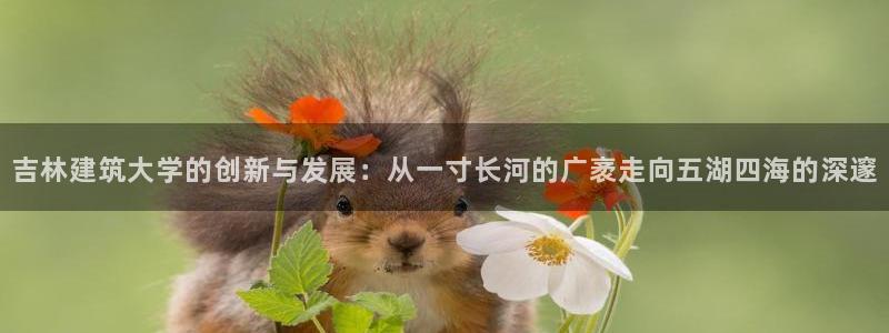 顺盈娱乐28是什么?