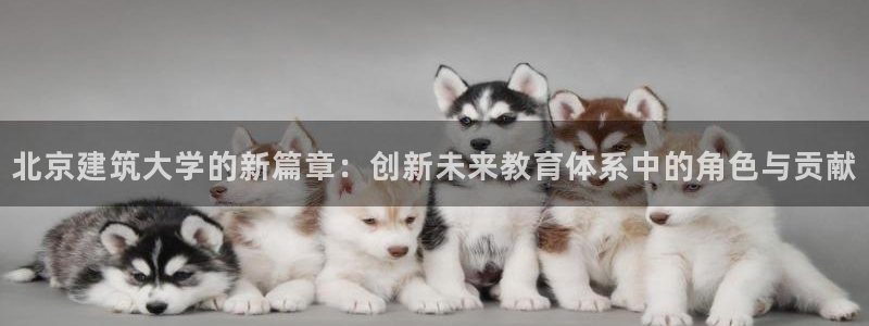 顺盈娱乐网址