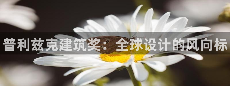 应县盈顺休闲娱乐室：普利兹克建筑奖：全球设计的风向标