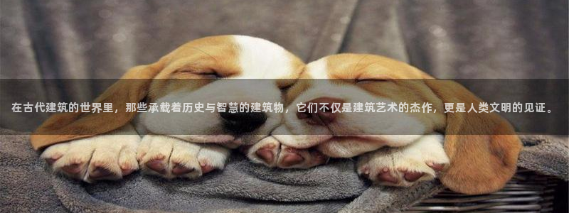 顺盈娱乐公司介绍：在古代建筑的世界里，那些承载着历史与智慧的建筑物，它们不仅是建筑艺术的杰作，更是人