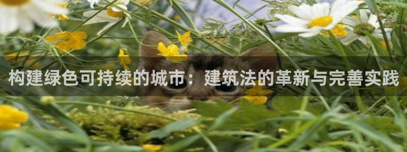 顺盈娱乐主管=天神779O3：构建绿色可持续的城市：建筑法的革新与完善实践