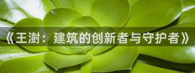 顺盈娱乐注册官网：《王澍：建筑的创新者与守护者》