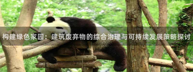 顺盈娱乐平台下载安装：构建绿色家园：建筑废弃物的综合治理与可持续发展策略探讨