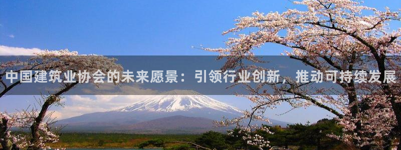 顺盈娱乐棋牌怎么样啊：中国建筑业协会的未来愿景：引领行业创新，推动可持续发展