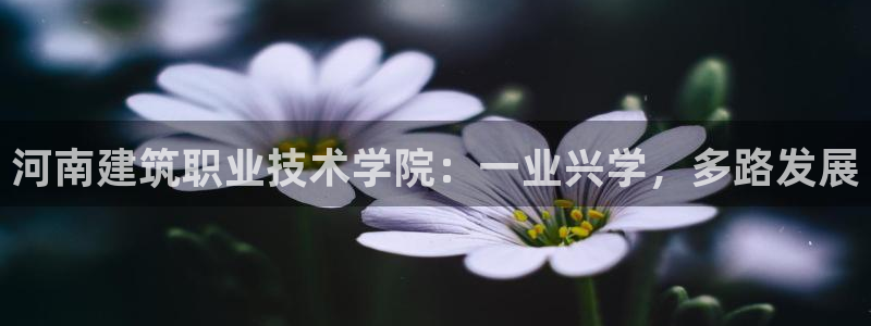 顺盈娱乐代理怎么样了啊：河南建筑职业技术学院：一业兴学，多路发展
