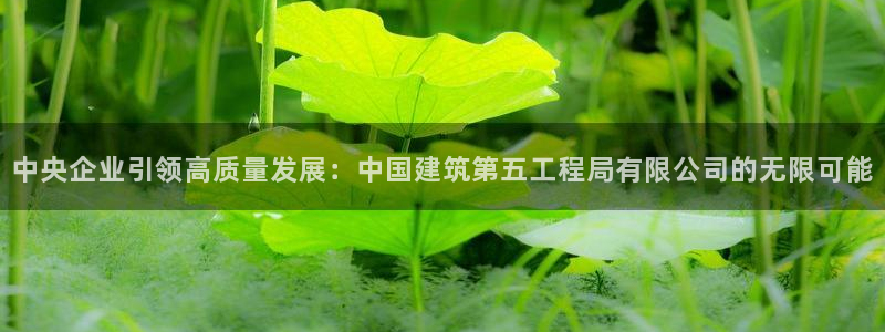顺盈娱乐下载官网地址：中央企业引领高质量发展：中国建筑第五工程局有限公司的无限可能