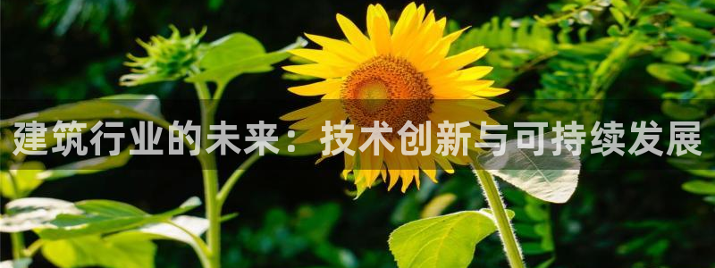顺盈娱乐平台官网：建筑行业的未来：技术创新与可持续发展