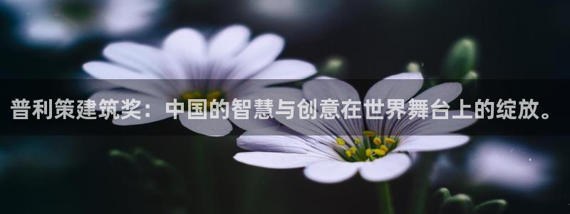 顺盈娱乐最高代理人是谁：普利策建筑奖：中国的智慧与创意在世界舞台上的绽放。
