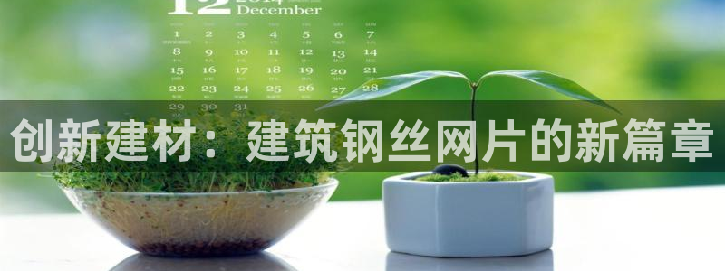 顺盈娱乐平台下载安装：创新建材：建筑钢丝网片的新篇章