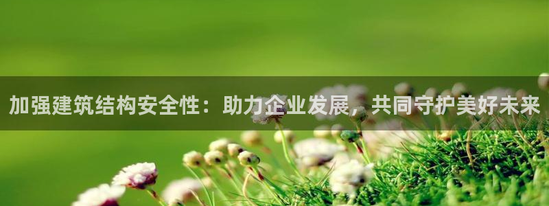 顺盈娱乐队究7276O